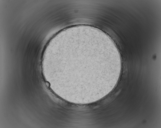 X0000115821072200912241930