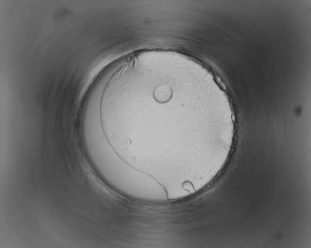 X0000115821075200912241930