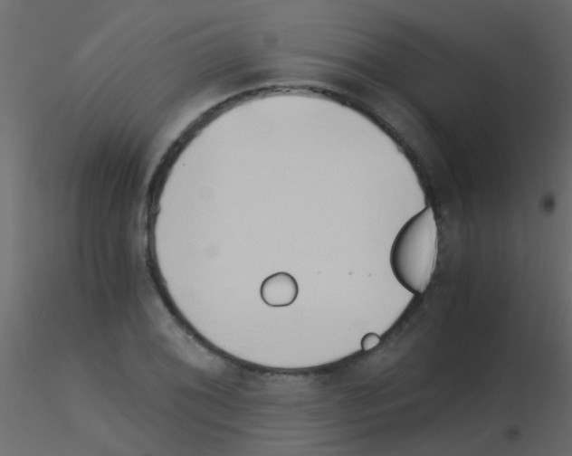 X0000115821076200912241930