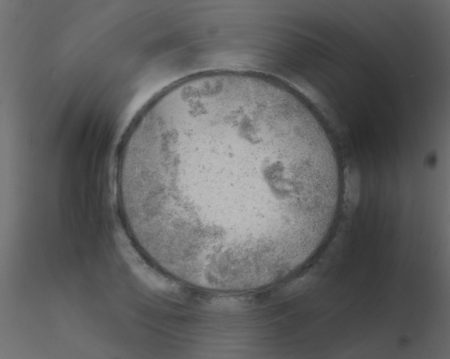 X0000115821078200912241930