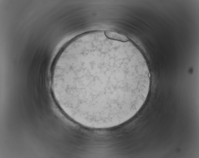 X0000115821080200912241930