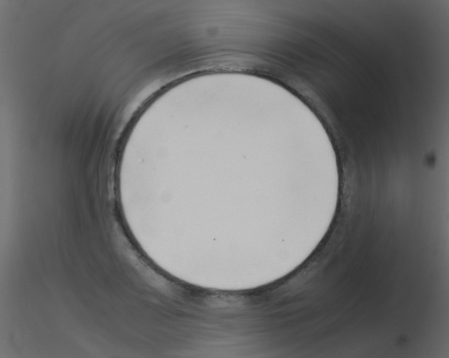 X0000115821083200912241930