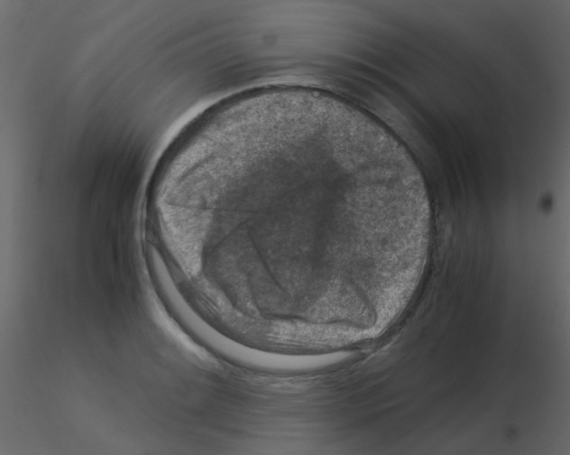 X0000115821084200912241930