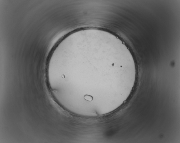 X0000115821085200912241930