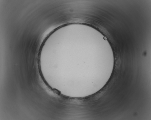 X0000115821086200912241930