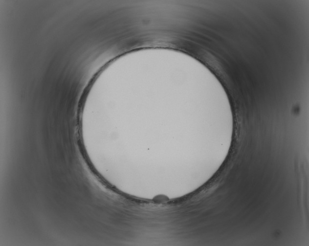 X0000115821087200912241930