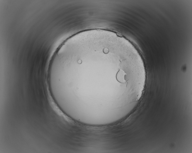 X0000115821088200912241930