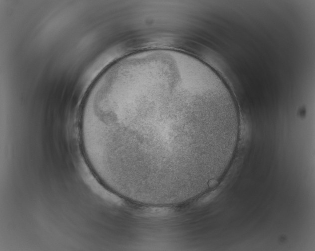 X0000115821090200912241930