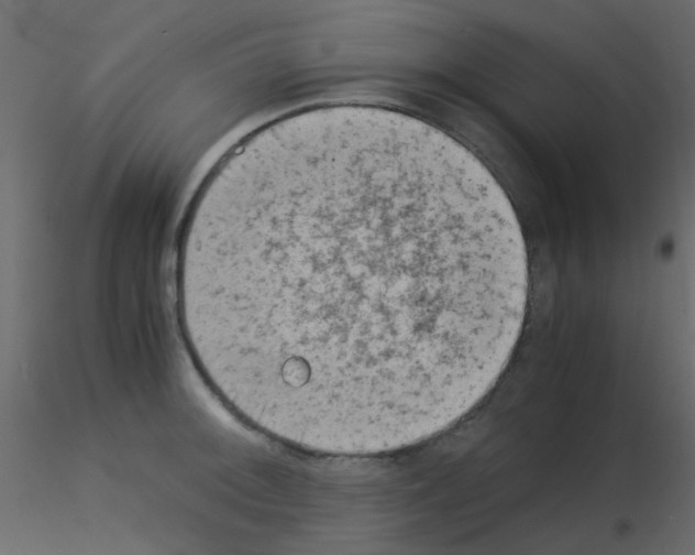 X0000115821092200912241930