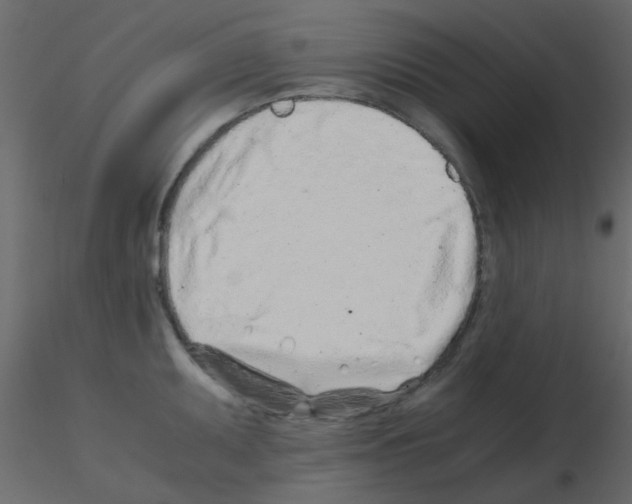 X0000115821095200912241930