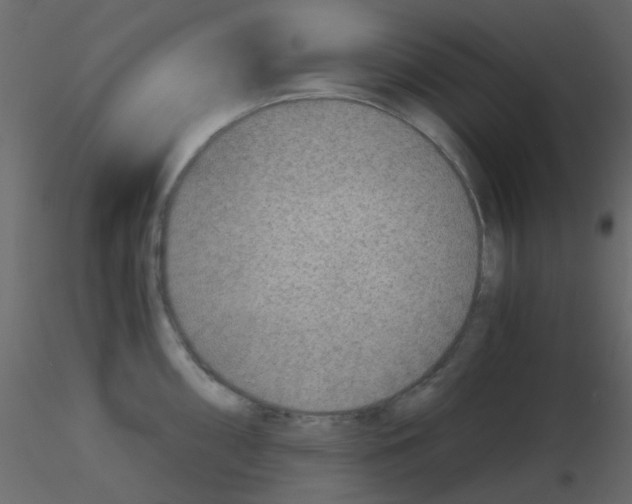 X0000115821098200912241930