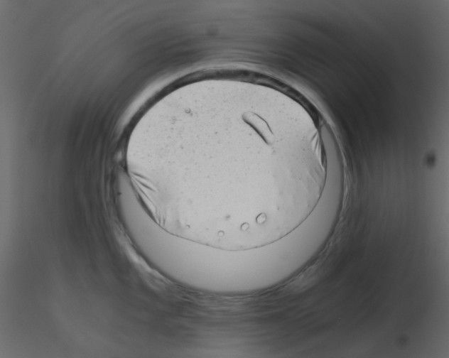 X0000115821101200912241930