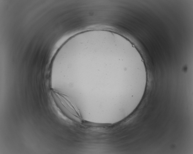 X0000115821102200912241930