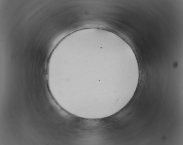 X0000115821103200912241930