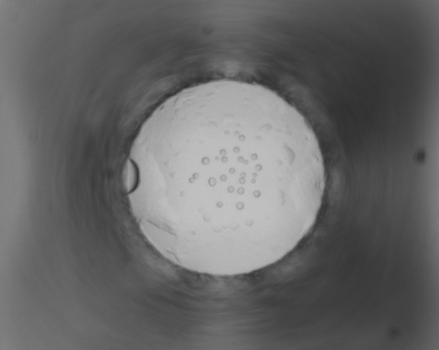 X0000115821105200912241929