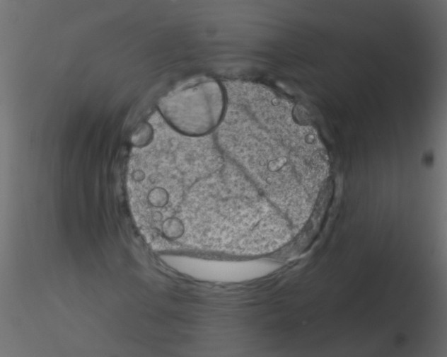 X0000115821106200912241929