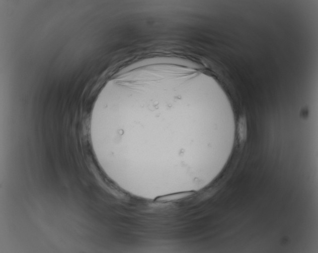 X0000115821107200912241929