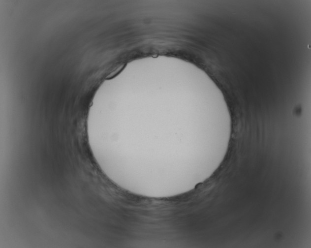 X0000115821109200912241929