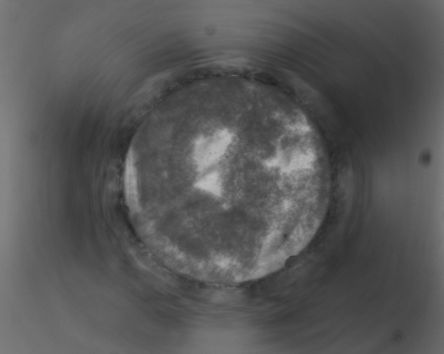 X0000115821110200912241929