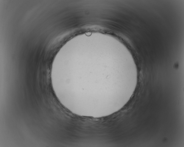 X0000115821111200912241929