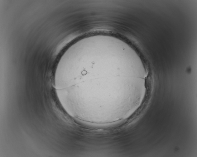 X0000115821113200912241929