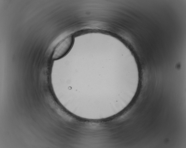 X0000115821114200912241929