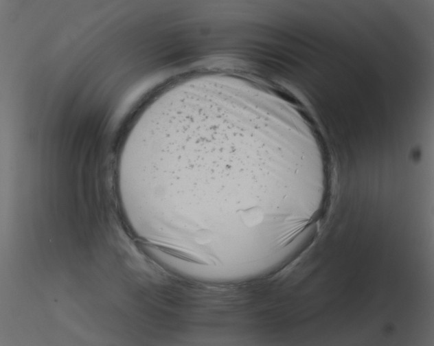 X0000115821115200912241929