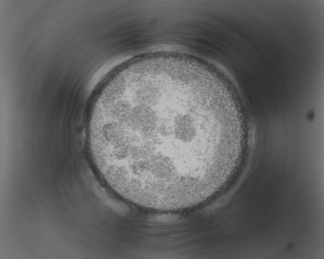 X0000115821117200912241929