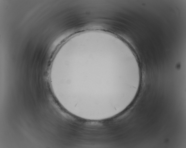 X0000115821119200912241929