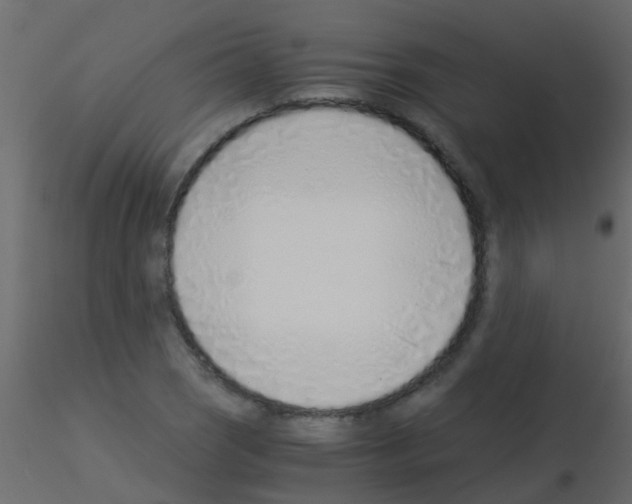 X0000115821121200912241929