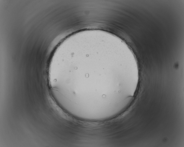 X0000115821122200912241929