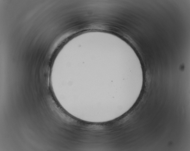 X0000115821123200912241929