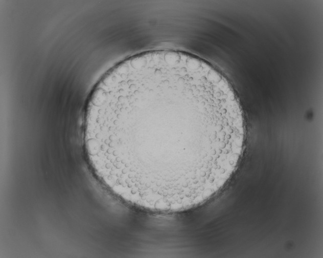 X0000115821126200912241929