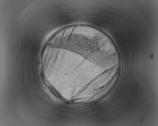 X0000115821127200912241929