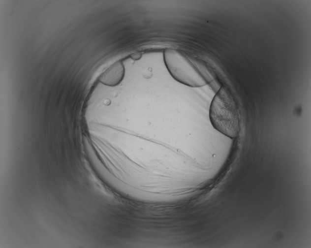 X0000115821129200912241929