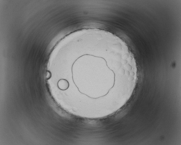 X0000115821130200912241929