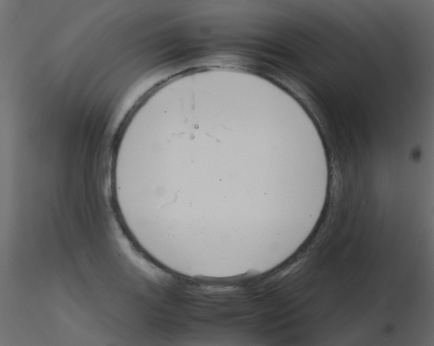 X0000115821131200912241929