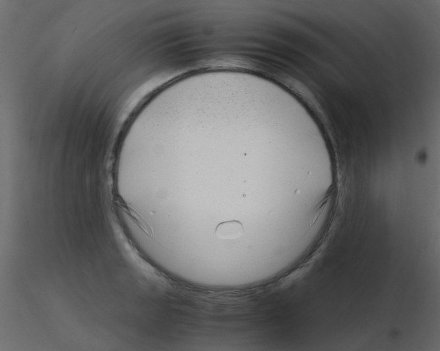 X0000115821133200912241929