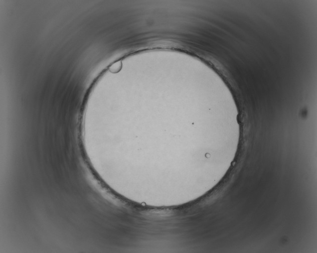 X0000115821134200912241929