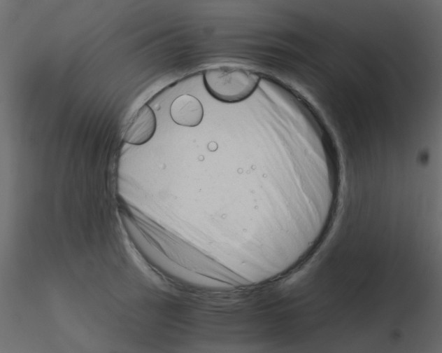 X0000115821137200912241929