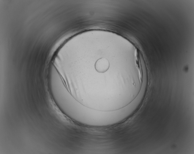 X0000115821138200912241929