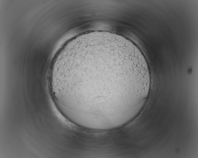 X0000115821139200912241929