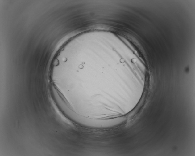 X0000115821141200912241929