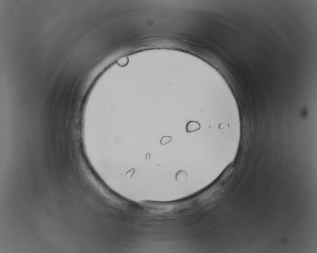 X0000115821142200912241929