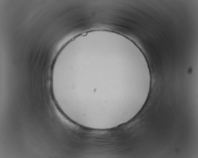 X0000115821143200912241929