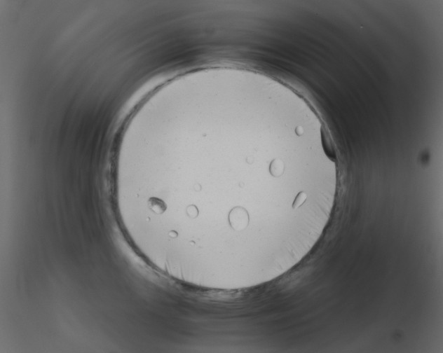 X0000115821147200912241930