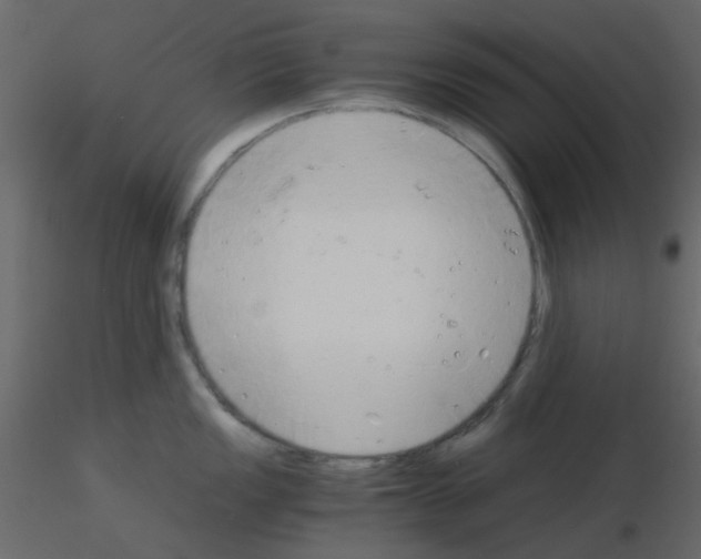 X0000115821149200912241930