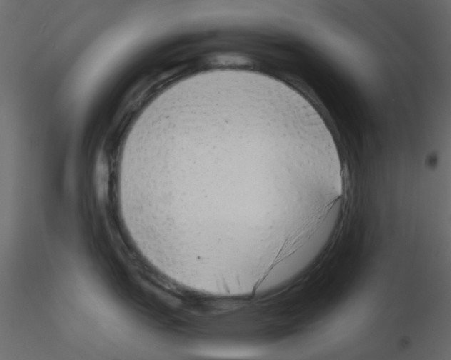 X0000115821151200912241930