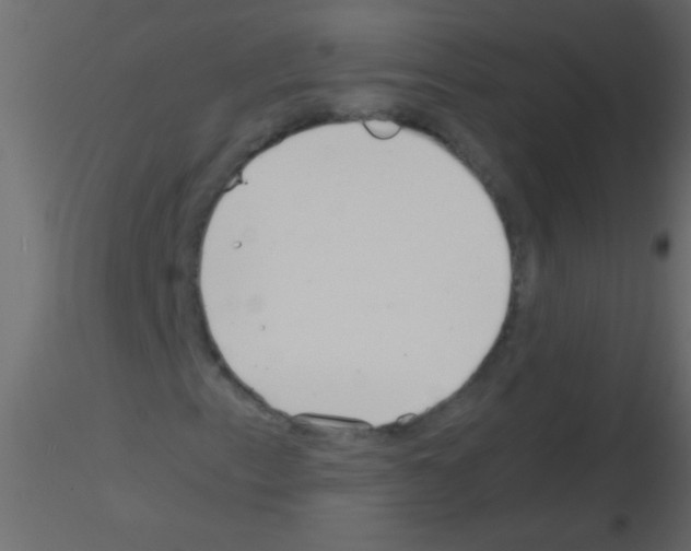 X0000115821153200912241929