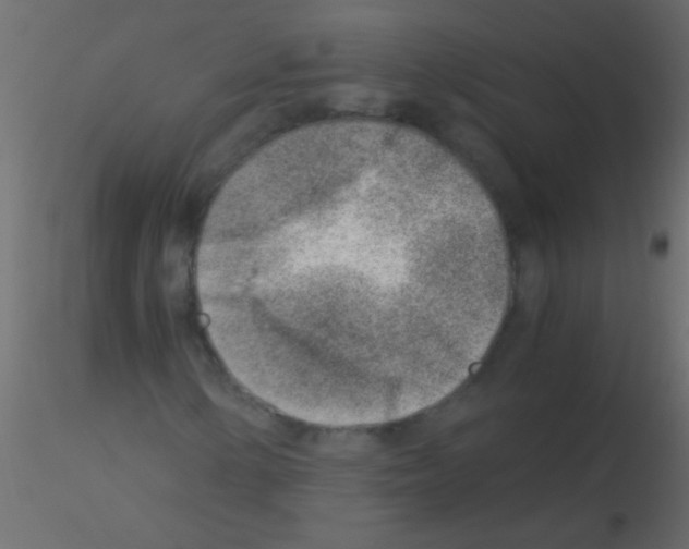 X0000115821154200912241929